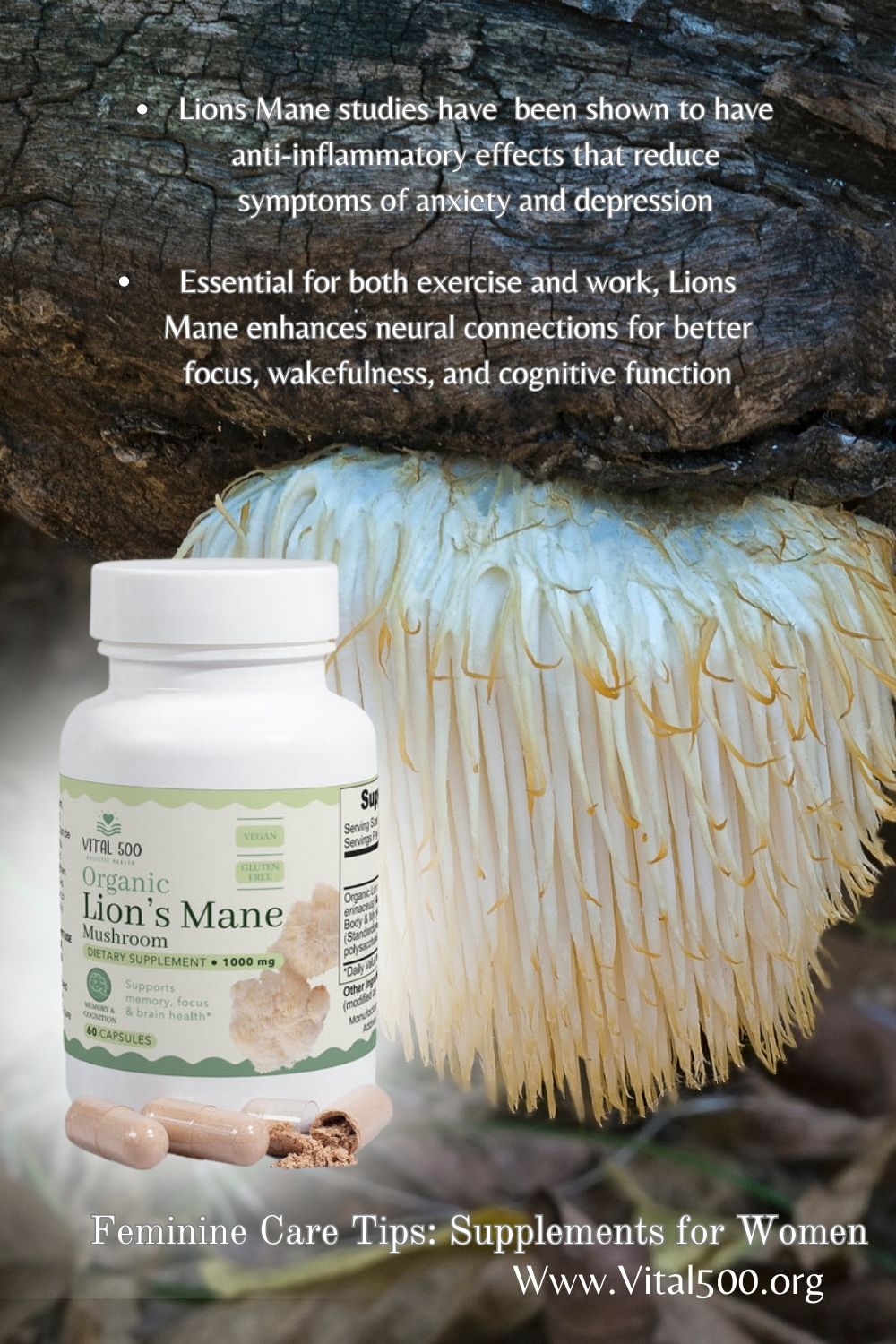 Unleash Your Inner Lioness: 7 Life-Changing Benefits of Lion’s Mane Mushrooms