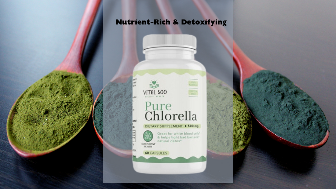 Chlorella FAQs: Everything You Need To Know