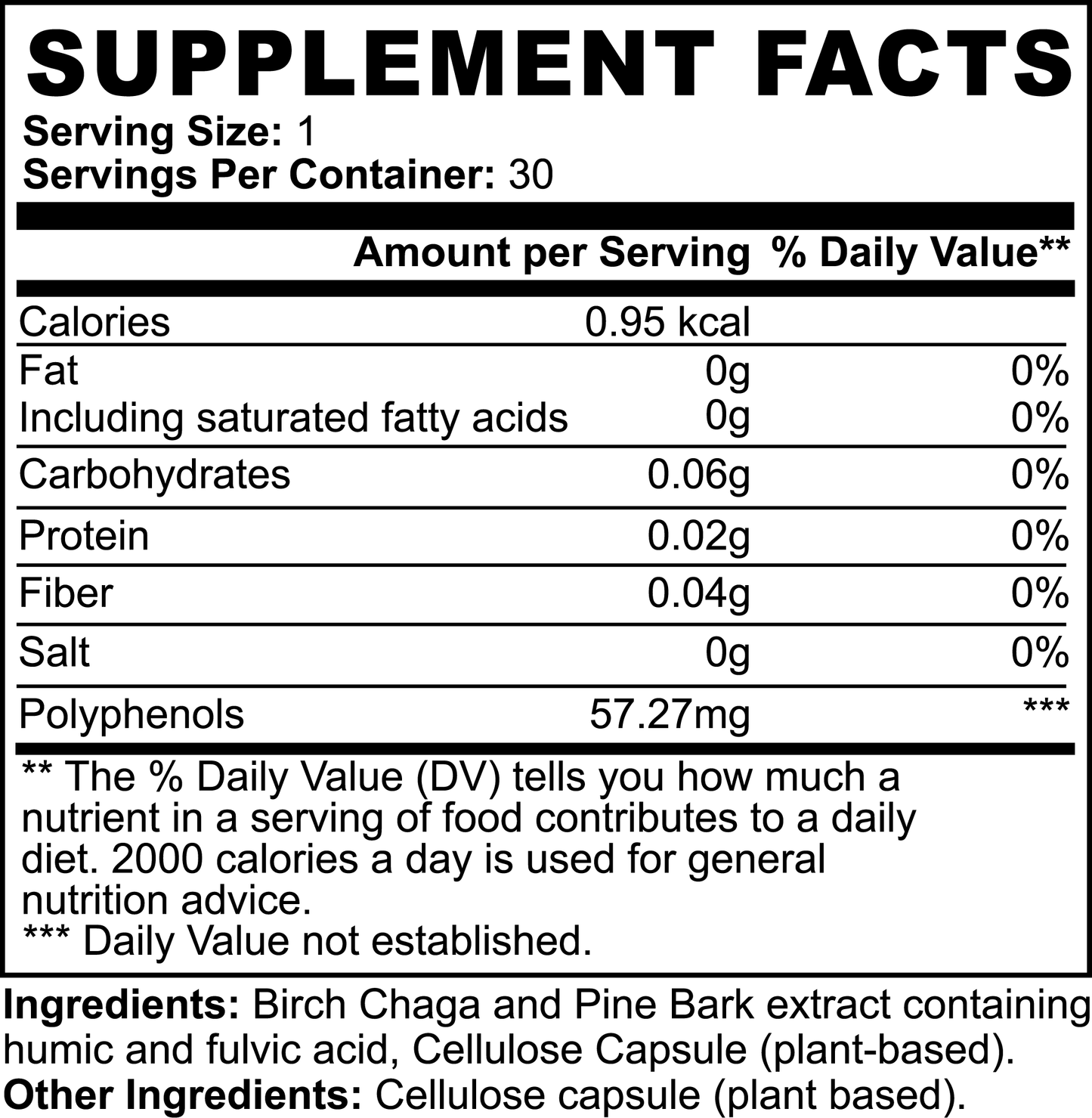 Birch Chaga